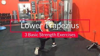 Simple Exercises To Strengthen Lower Trapezius Exercises amp Improve Scapula Control [upl. by Andris]