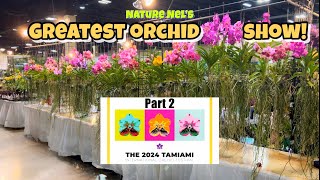 Part 2 of THE GREATEST ORCHID SHOW IN THE US We continue at this amazing orchid event in Miami [upl. by Amis]