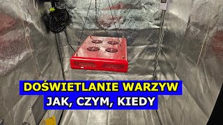 Doświetlanie Sadzonek Warzyw Sadzonki Pomidorów Papryk jakie Lampy Doświetlania Growbox do Warzyw [upl. by Adnawyt32]