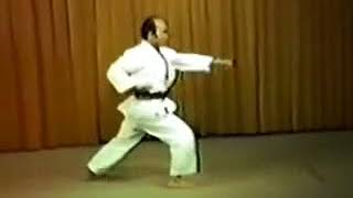 Seibukan Karate Kata Seisan [upl. by Maje]