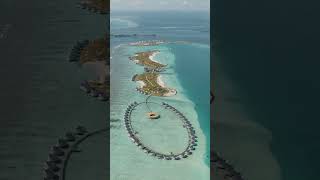 Ritz cartoon maldives fari island islandlife [upl. by Eerazed]