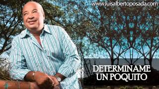 Luis Alberto Posada  Determiname Un Poquito Audio Oficial [upl. by Ecurb]