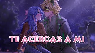 UN BESO MARICHAT CASI PERFECTO 🌹 Espina de Rosas 42  Miraculous Ladybug Comic Fandub Español [upl. by Amargo]