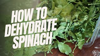 How to Dehydrate Spinach A StepbyStep Guide for Beginners Preserve Freshness and Nutrients [upl. by Mya]