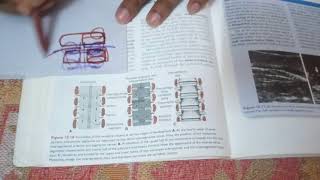 its made easy vertebral coloumn development from special embryology [upl. by Hooker140]