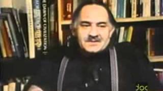 Murray Bookchin Explains Anarchism [upl. by Alissa]