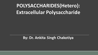 Extracellular Polysaccharides [upl. by Hotze]