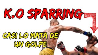 Pelea ko 😯 DURA entre compañeros de SPARRING 😱 PELEAS mma [upl. by Peskoff991]