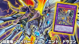 Dark Zane  Cyberdark End Dragon DECK 2024 YGOPRO [upl. by Yemerej168]