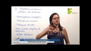 Microbiologia Ambiental  A importância das bactérias [upl. by Nagey279]