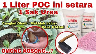 1 LITER POC INI SETARA 1 SAK UREA [upl. by Otti]