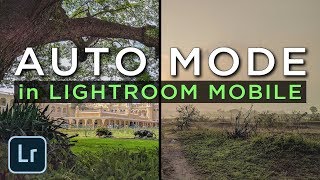 Auto Mode in Lightroom Mobile  Android  iPhone  Retouching on Mobile [upl. by Romaine841]