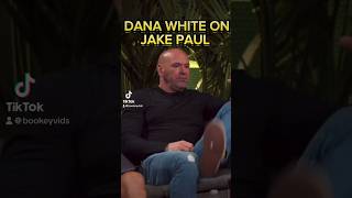 Dana white says “ Jake Paul he fcking lost  danawhite jakepaul ufc mma boxing fight [upl. by Ecnaralc]