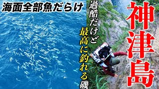 初上陸！神津島で1番釣れる磯で大物狙い！【神津島遠征1】 [upl. by Martelli]