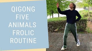 Qigong 5 Animals Frolic Routine  Daily Qigong Practice Beginner to Advanced [upl. by Aisauqal]