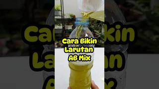 cara mencampur ab mix abmix hidroponikmudah berkebundirumah [upl. by Eceinwahs709]