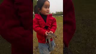 3yearold girl uses crocodile to scare horse cutepetdebutplan [upl. by Ibot768]