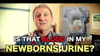 Is That Blood In My Newborns Urine  Pediatric Advice [upl. by Gianna13]