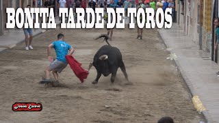 TORO DE ALBARREAL BONITA TARDE RAFELBUNYOL 23 09 2022 [upl. by Perrins292]