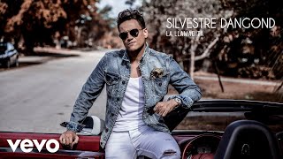 Silvestre Dangond  La Llamadita Audio [upl. by Hollander677]