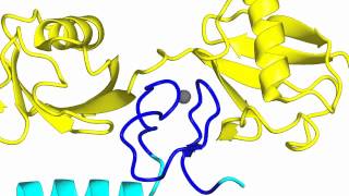 LUBAC linear ubiauitin chain assembly complex [upl. by Kudva]