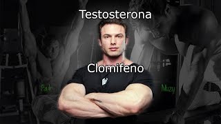 Clomifeno para subir testosterona [upl. by Fawna]