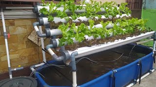 DIY  How to make Simple RAS system Tilapia Ponds  Aquaponic System part 3 [upl. by Aronoh872]