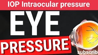 IOP Intraocular pressure  आंख का प्रेशर   Rudra Eye amp Health Care  in Hindi [upl. by Doll]