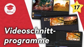 Videoschnittprogramme für Einsteiger kostenlos amp kostenpflichtig [upl. by Adekan]