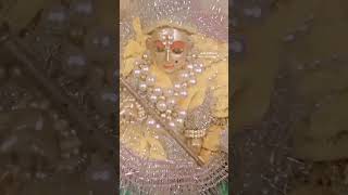 ❤RADHE RADHE ❤ ‎sunitaverma5020 viralvideo love nandgopallover shyam shortvideo [upl. by Pardew759]