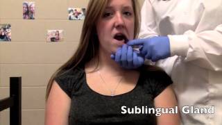 How to Palpate the Salivary Glands [upl. by Leatri]