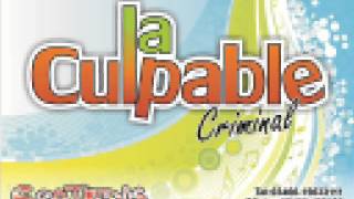 La Culpable  Fuiste Tuwmv [upl. by Dela]