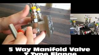 SS 316 Tee Type 5 Way Manifold Valves [upl. by Jemmy]