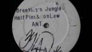 Half Pint  Greetings Jungle  Jet Star Records ant 1 [upl. by Bullis873]