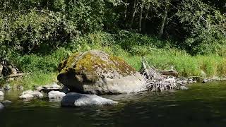 Cedar River Boulder Hole  Bridge 305 [upl. by Elbam]