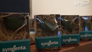 Novo Plene da Syngenta se aproxima de “semente” [upl. by Cogn267]