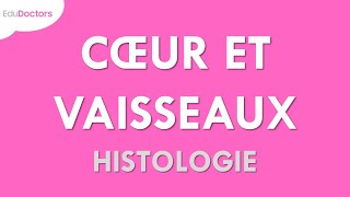 Le système cardiovasculaire  Histologie [upl. by Yerroc]