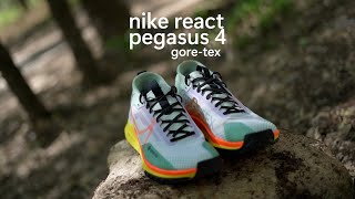 Nike React Pegasus Trail 4 GORE TEX ReView [upl. by Elliven]