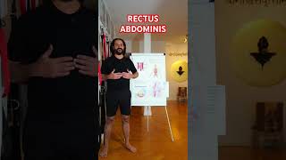 RECTUS ABDOMINIS Yogveda Yoga [upl. by Ennirroc]