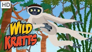 Wild Kratts  Leaping Lemurs Part 2 Special Moves and Scented Clues [upl. by Packton]