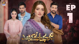 Teray Janay Kay Baad Episode 1  30 July 2024 English Subtitles  ARY Digital Drama [upl. by Sowell]