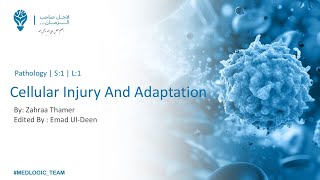 Cellular Injury And Adaptation P2  Pathology [upl. by Janel]