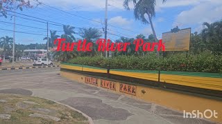 Exploring Ocho Rios Turtle Park RiverDrax Hall StAnnJamaica [upl. by Renner851]