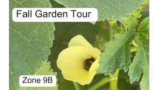 October Garden Tour  Zone 9B  desertgardening [upl. by Kalagher786]