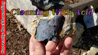 Cleaning Petrified Wood With Acid [upl. by Groos4]