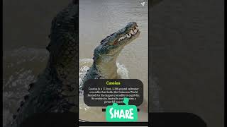 Top 10 largest crocodiles in world 👈🤔 shorts viral crocodile [upl. by Aehtrod]