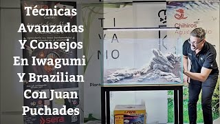 🔵 Tecnicas De Aquascaping Y Consejos Para Acuario Brazilian Style Con Juan Puchades [upl. by Philips]