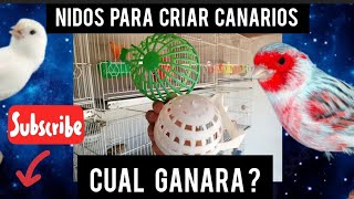 tipos de nido para criar canarios aviario [upl. by Sisak]