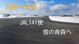 雪の青森空港へ JAL141便 羽田⇒青森 [upl. by Nylcoj]