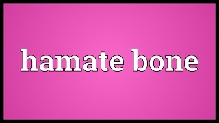 Hamate bone Meaning [upl. by Anoyi]